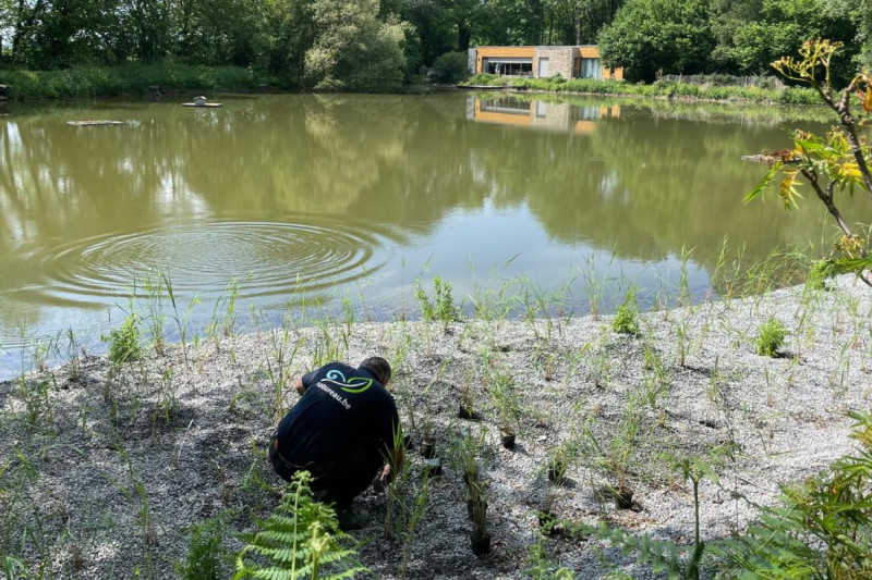 Traitement des eaux de ruissellement