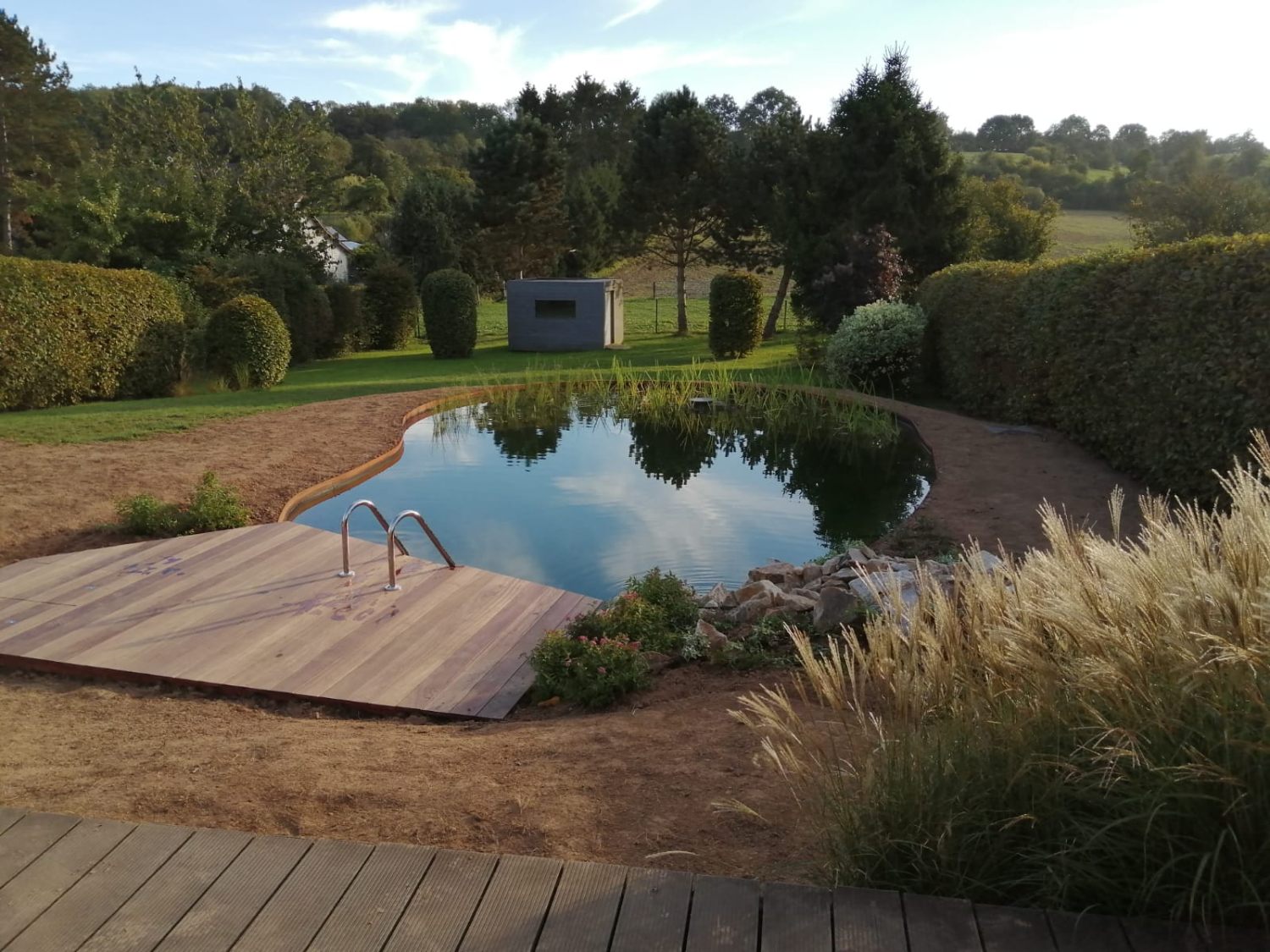 Jardin: la piscine naturelle et l'étang de baignade